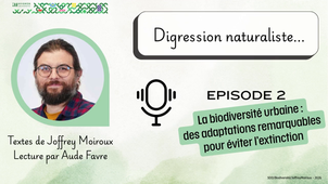 Biodiversité - #2 - Digression naturaliste_avril 2026.mp4