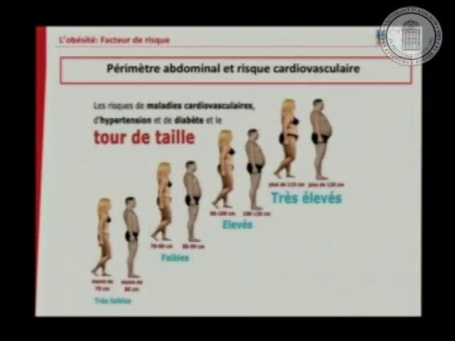 La graisse brune protégerait contre le diabète, l'anxiété et la dépression